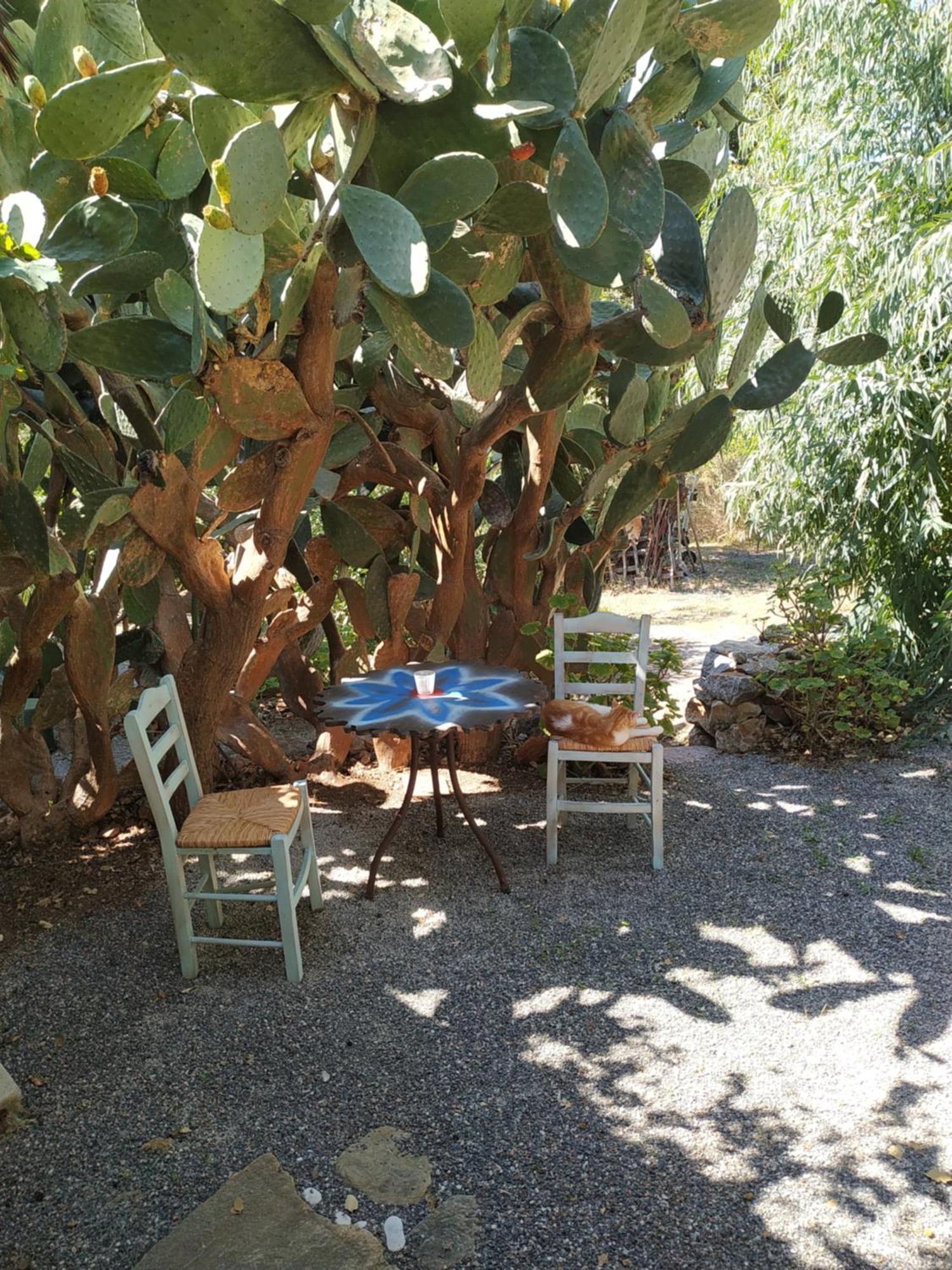 Wellanidia Cottage Skoutari Gytheio Dış mekan fotoğraf